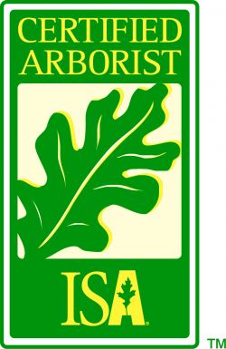 ISA Logo